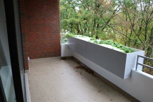 Hauptbild Renovierte, gut aufgeteilte 3 Zimmer Wohnung mit Einbauküche, Balkon und Laminatböden in Delmenhorst.